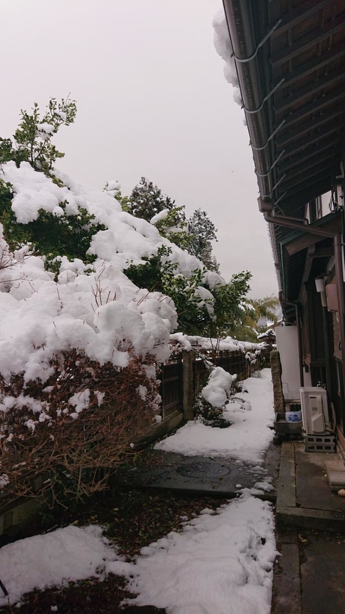 f:id:gobuichikun:20220206120837j:plain