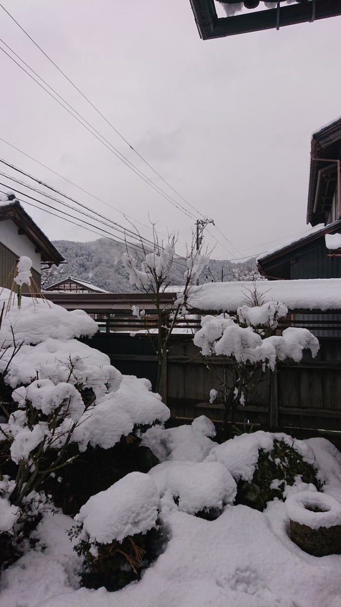 f:id:gobuichikun:20220206120917j:plain