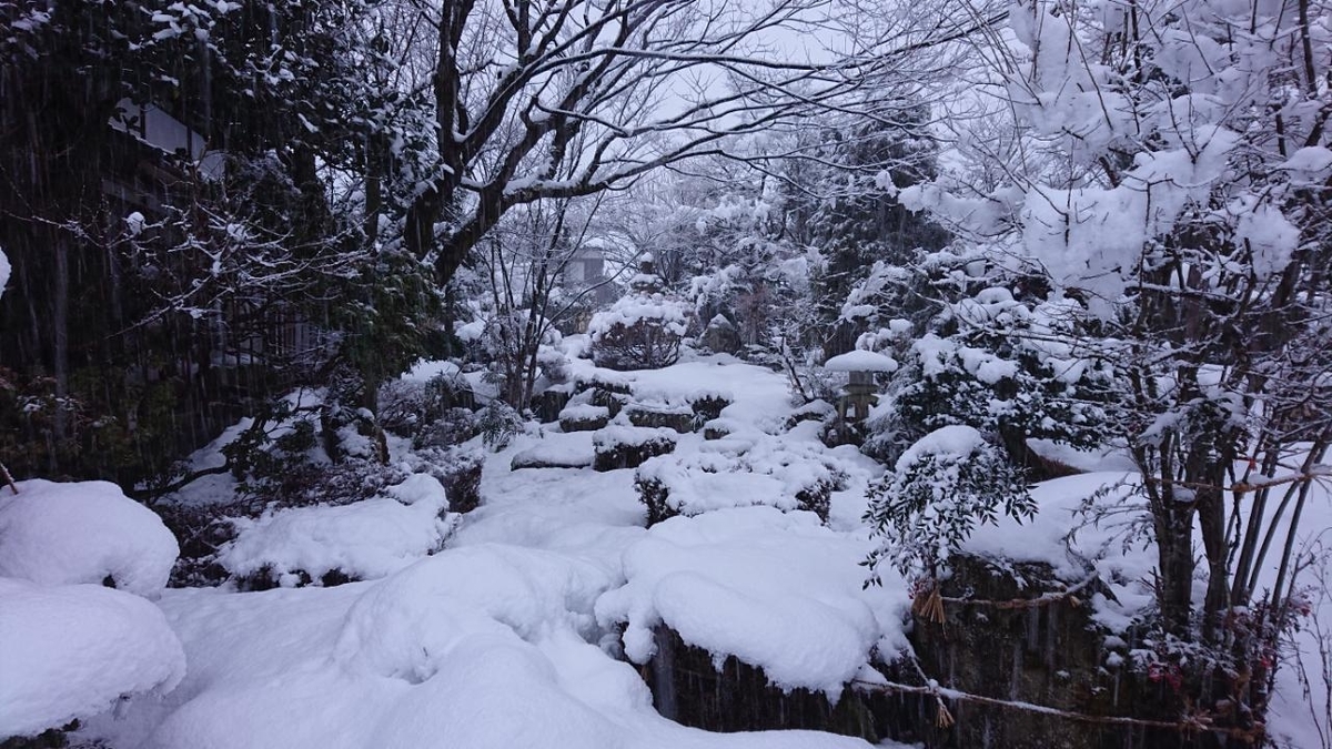 f:id:gobuichikun:20220206121043j:plain