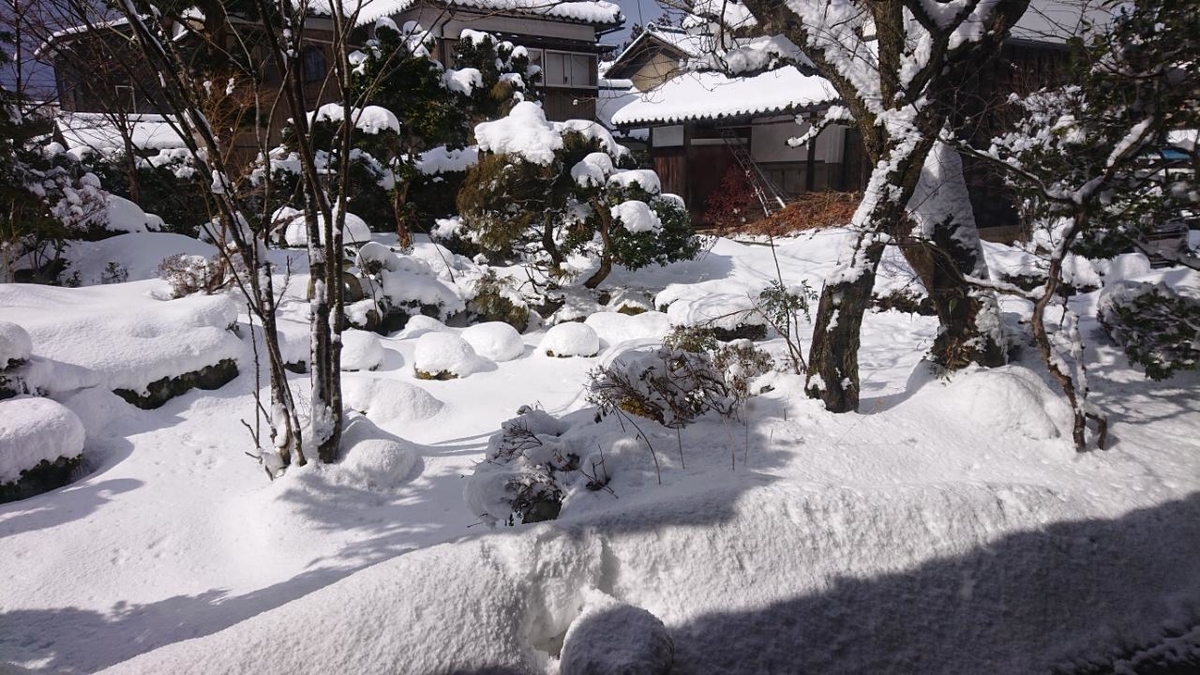 f:id:gobuichikun:20220220173437j:plain