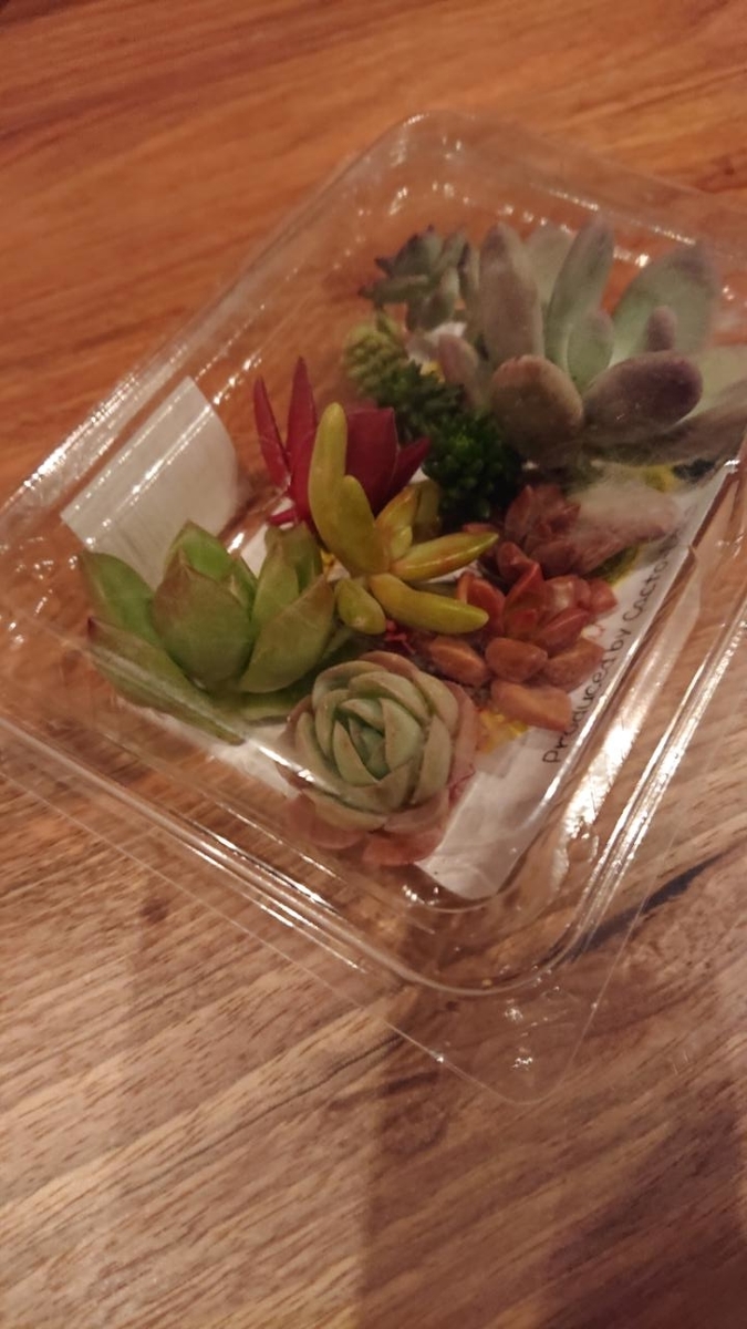 f:id:gobuichikun:20220323131141j:plain