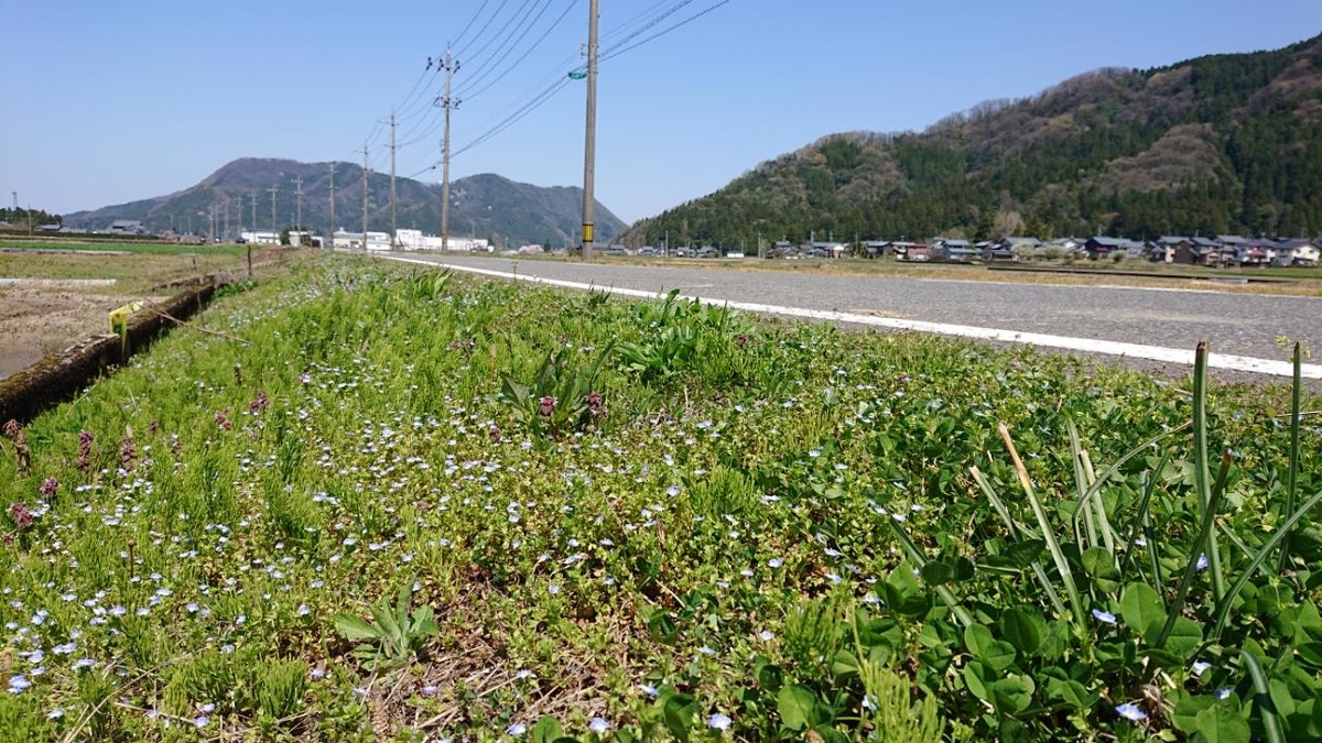 f:id:gobuichikun:20220414163654j:plain