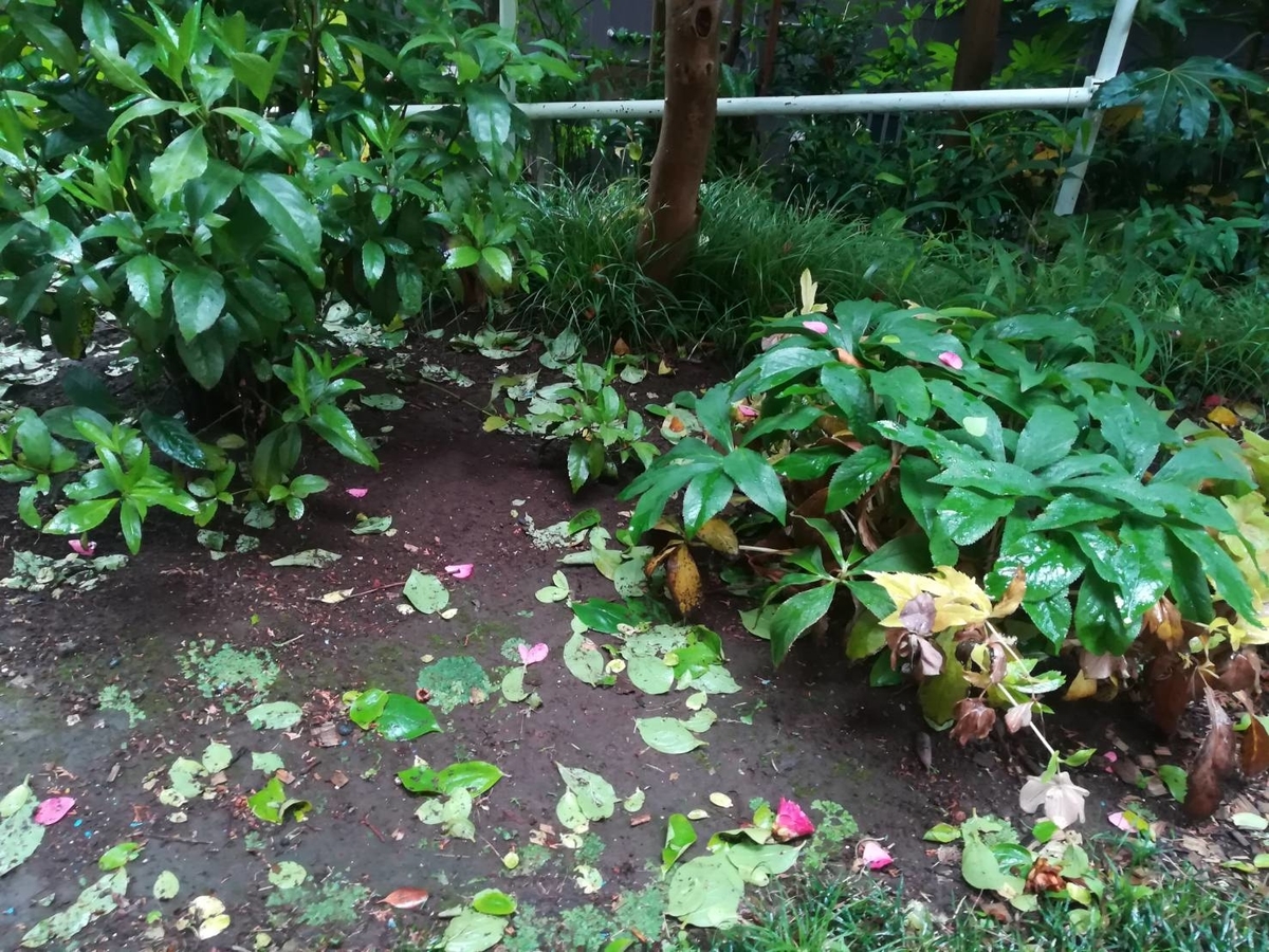 f:id:gochamazekikuna:20190521172421j:plain f:id:gochamazekikuna:20190521172421j:plain