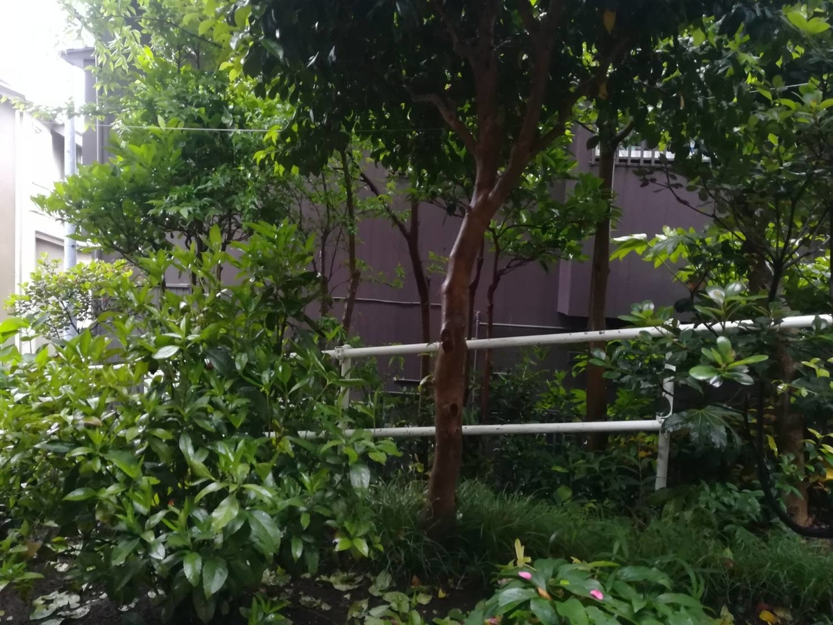 f:id:gochamazekikuna:20190521172439j:plain f:id:gochamazekikuna:20190521172439j:plain