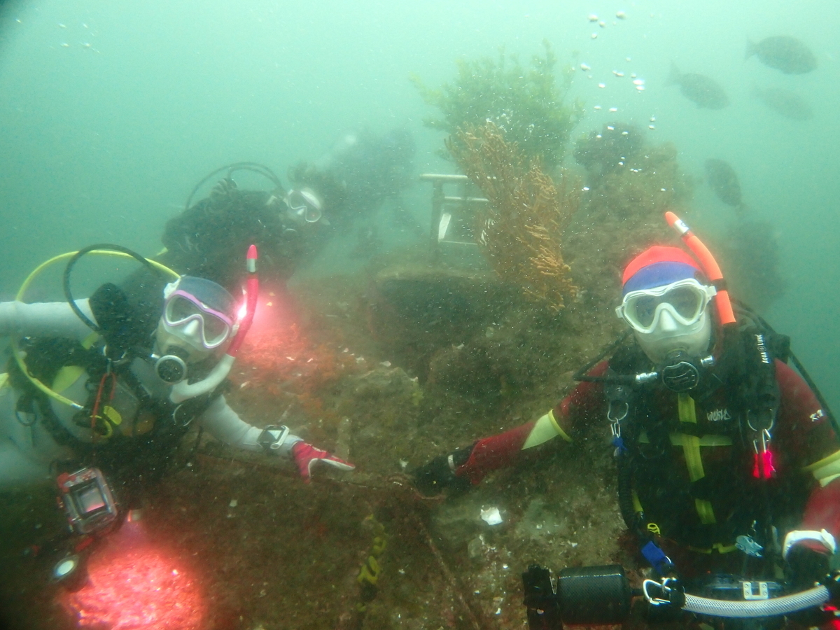 f:id:gochan-berry-smile0405:20200715224945j:plain f:id:gochan-berry-smile0405:20200715224945j:plain