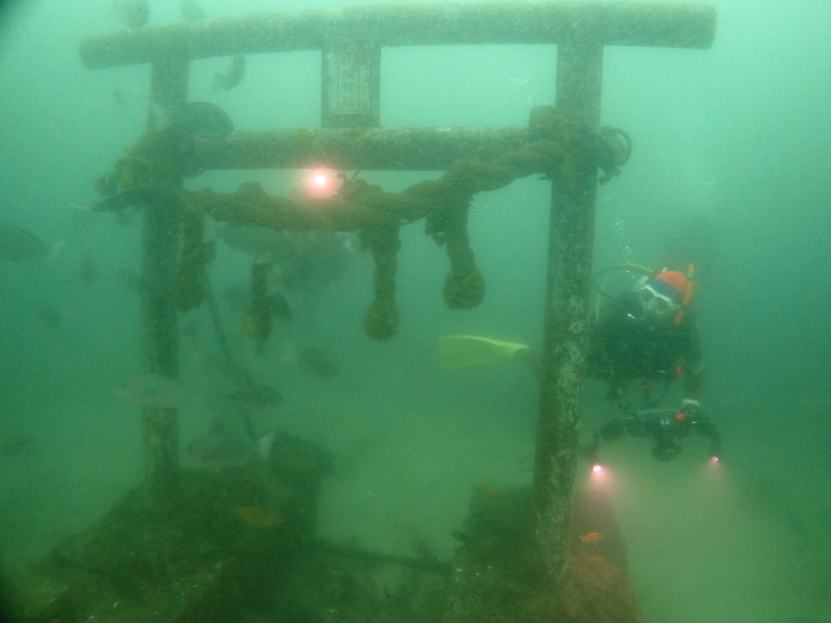 f:id:gochan-berry-smile0405:20200715225042j:plain f:id:gochan-berry-smile0405:20200715225042j:plain