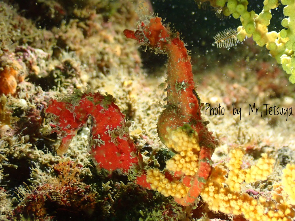 f:id:gochan-berry-smile0405:20200922182055j:image f:id:gochan-berry-smile0405:20200922182055j:image