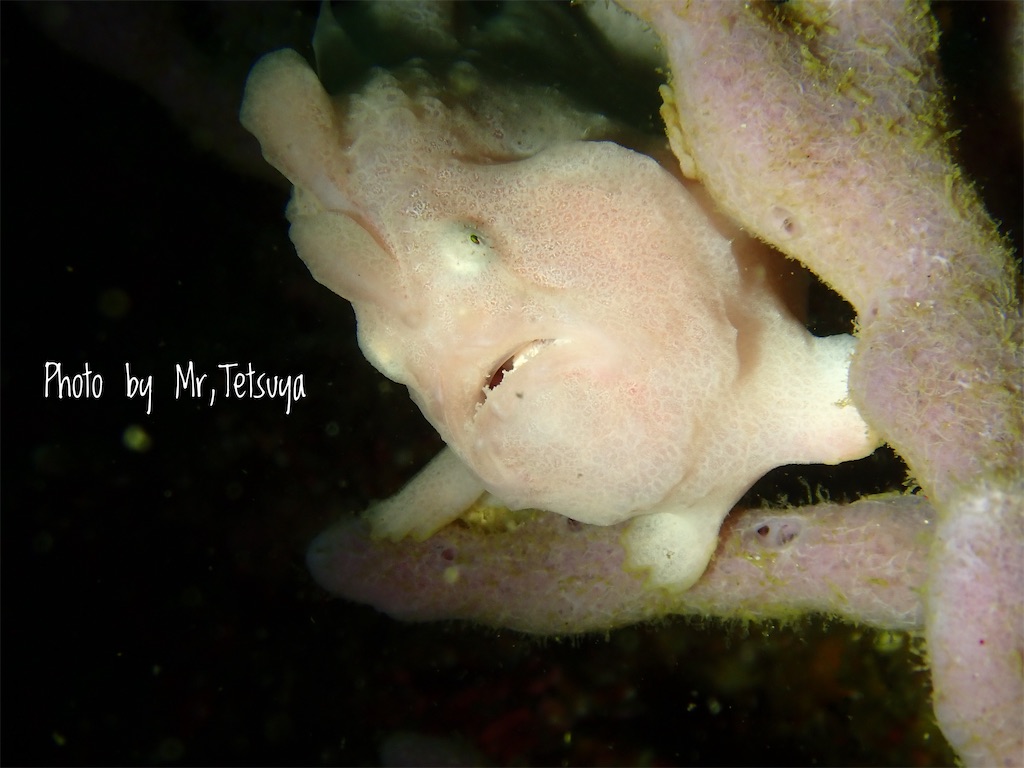 f:id:gochan-berry-smile0405:20200922182125j:image f:id:gochan-berry-smile0405:20200922182125j:image