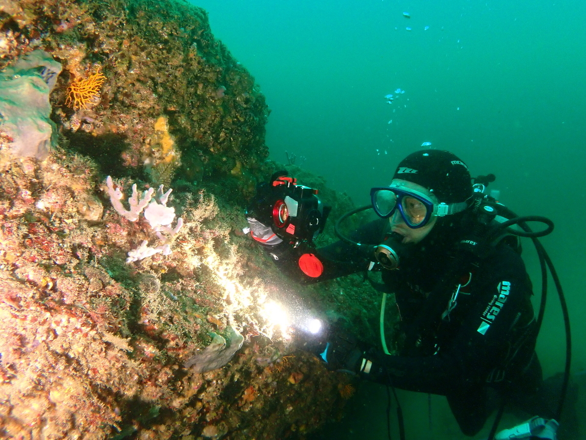 f:id:gochan-berry-smile0405:20200922183634j:plain f:id:gochan-berry-smile0405:20200922183634j:plain