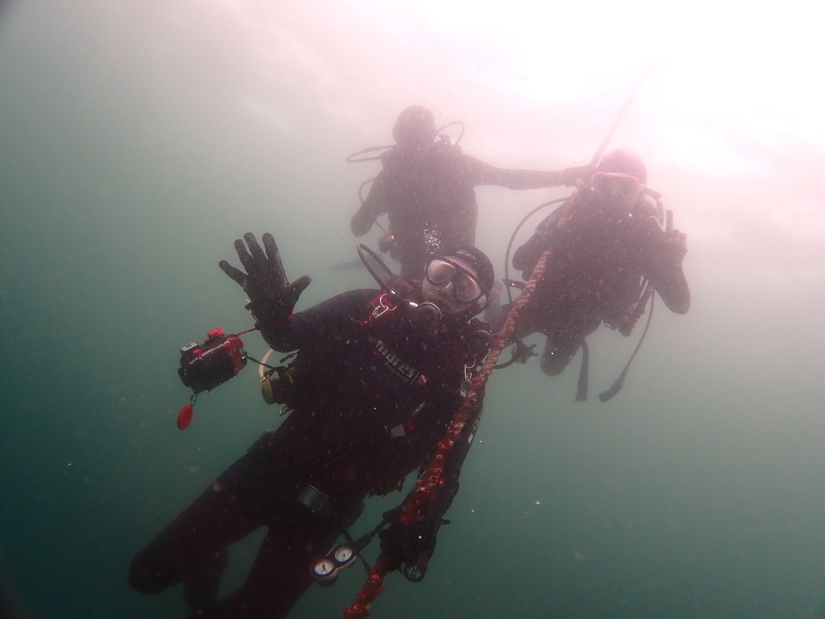 f:id:gochan-berry-smile0405:20200922183720j:plain f:id:gochan-berry-smile0405:20200922183720j:plain