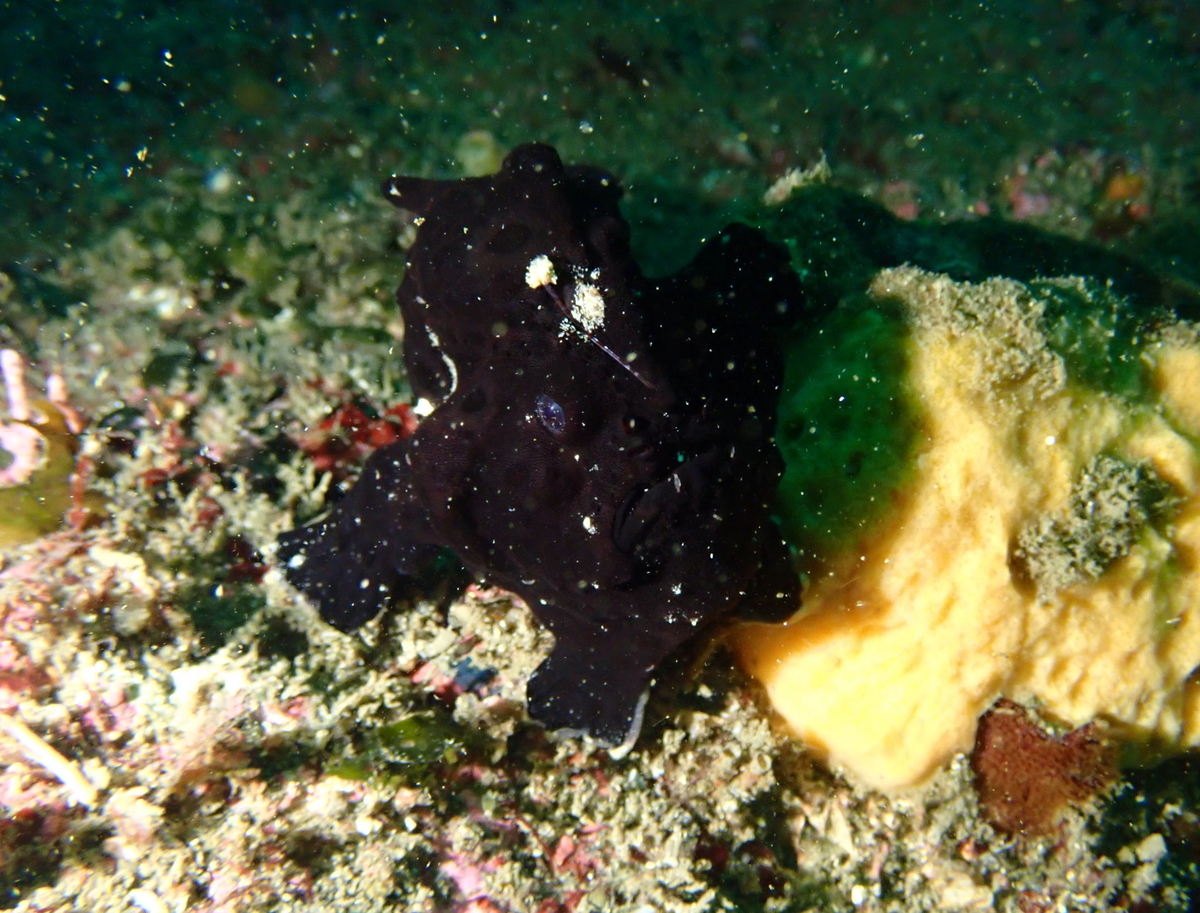 f:id:gochan-berry-smile0405:20200922184055j:plain f:id:gochan-berry-smile0405:20200922184055j:plain