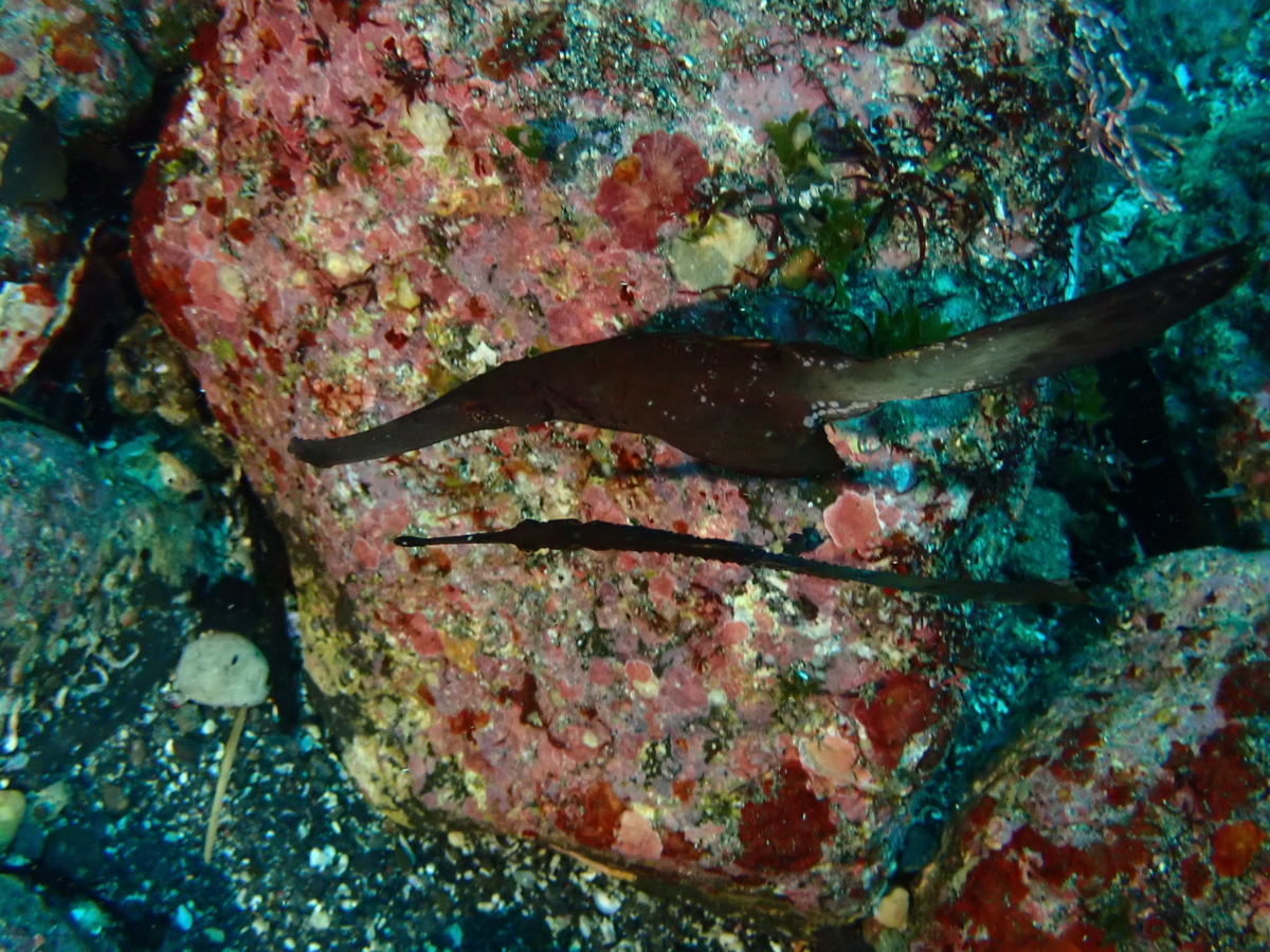 f:id:gochan-berry-smile0405:20201017213646j:plain f:id:gochan-berry-smile0405:20201017213646j:plain