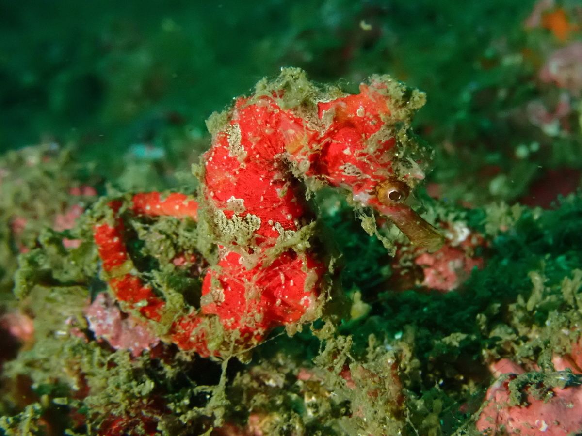 f:id:gochan-berry-smile0405:20201109232100j:plain f:id:gochan-berry-smile0405:20201109232100j:plain