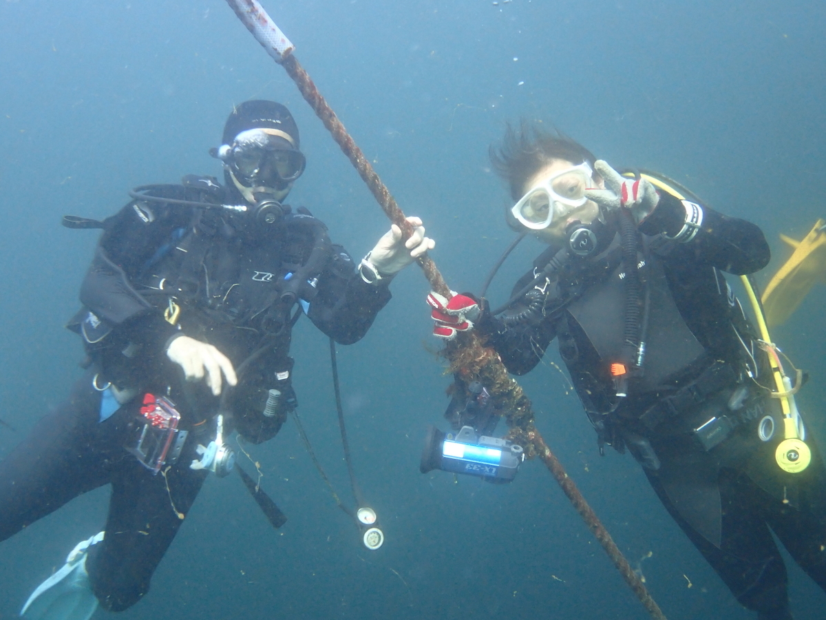 f:id:gochan-berry-smile0405:20201109232121j:plain f:id:gochan-berry-smile0405:20201109232121j:plain