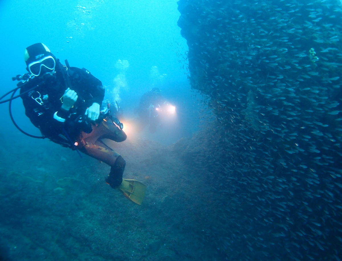 f:id:gochan-berry-smile0405:20201216223527j:plain