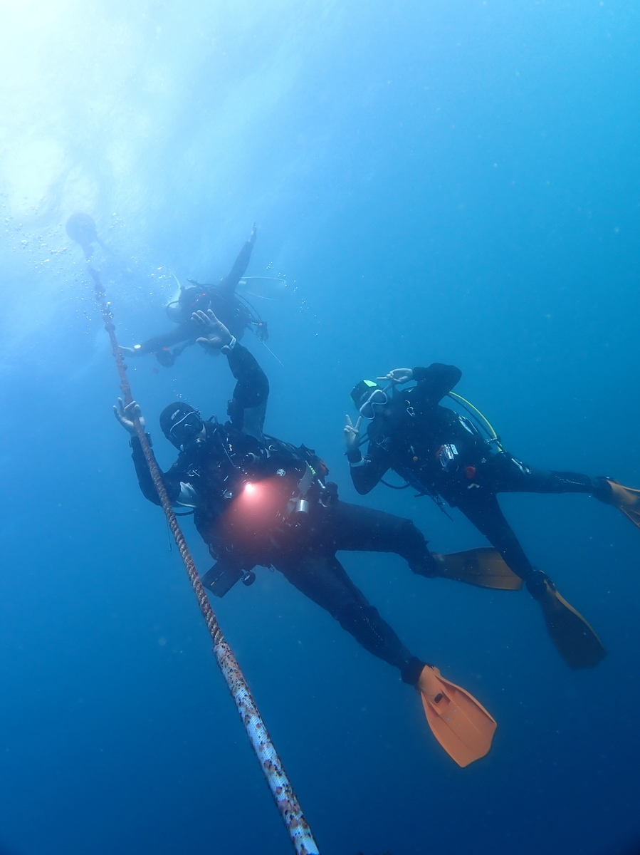 f:id:gochan-berry-smile0405:20201216223700j:plain