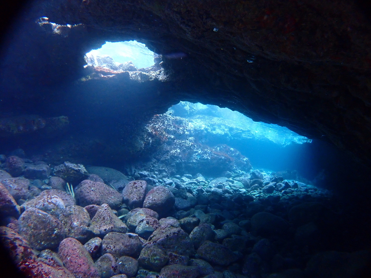 f:id:gochan-berry-smile0405:20201230212554j:plain