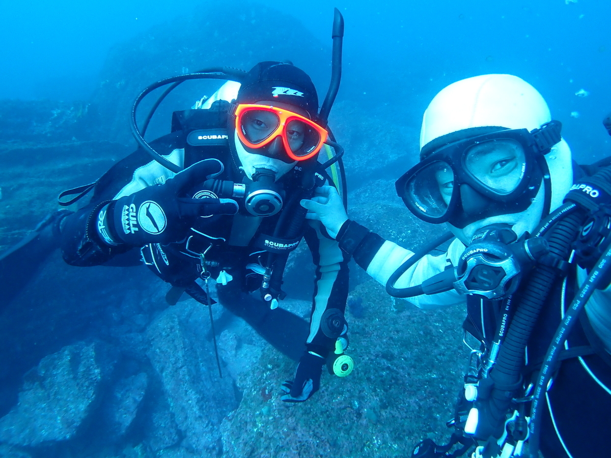 f:id:gochan-berry-smile0405:20201230212908j:plain