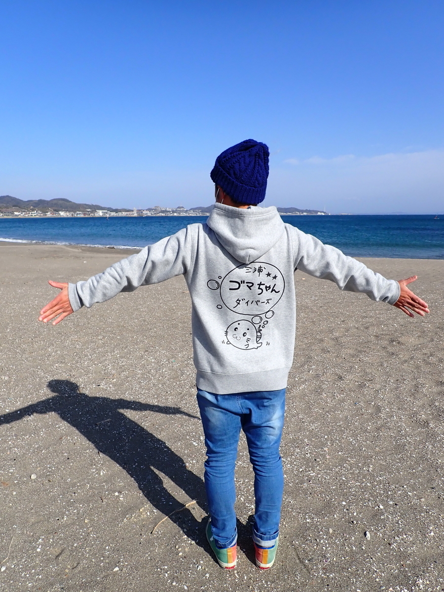 f:id:gochan-berry-smile0405:20210116201847j:plain