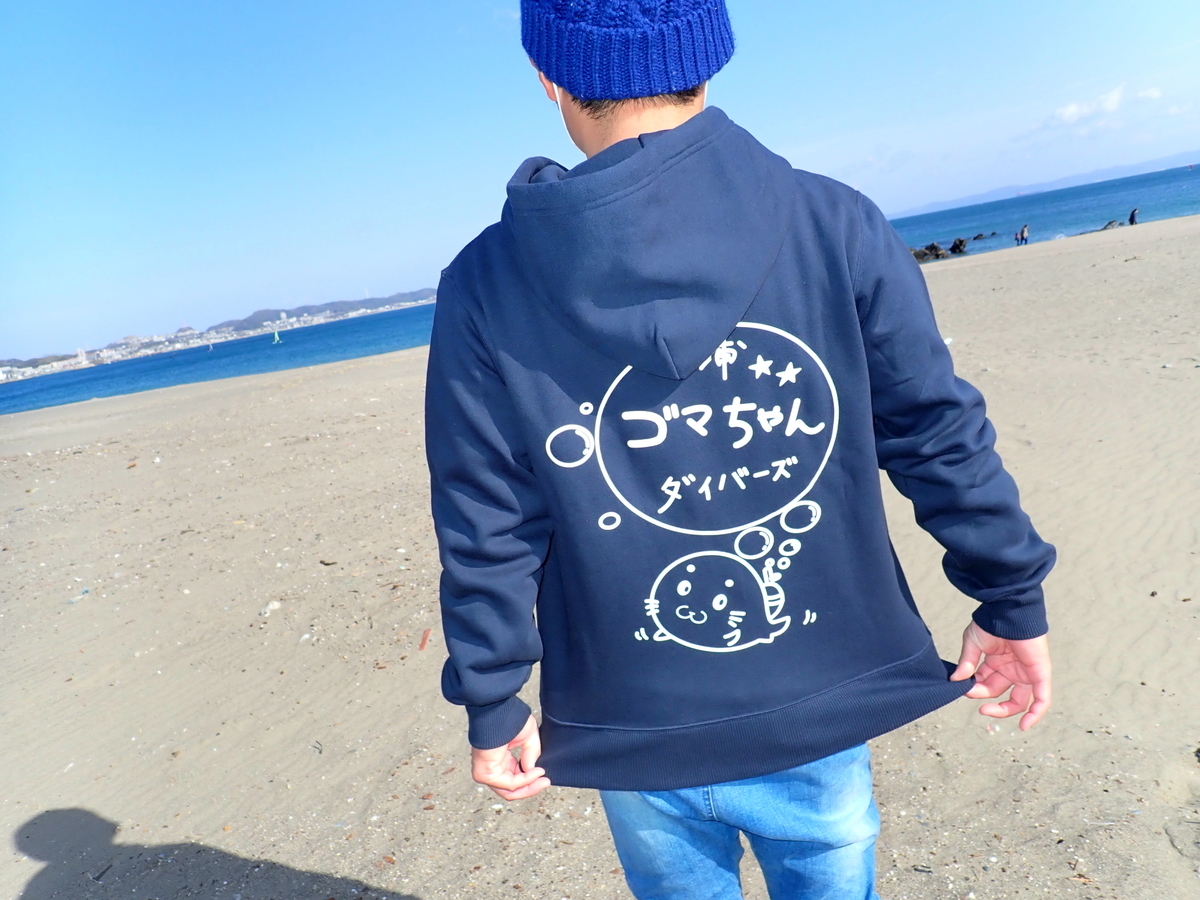 f:id:gochan-berry-smile0405:20210116202207j:plain