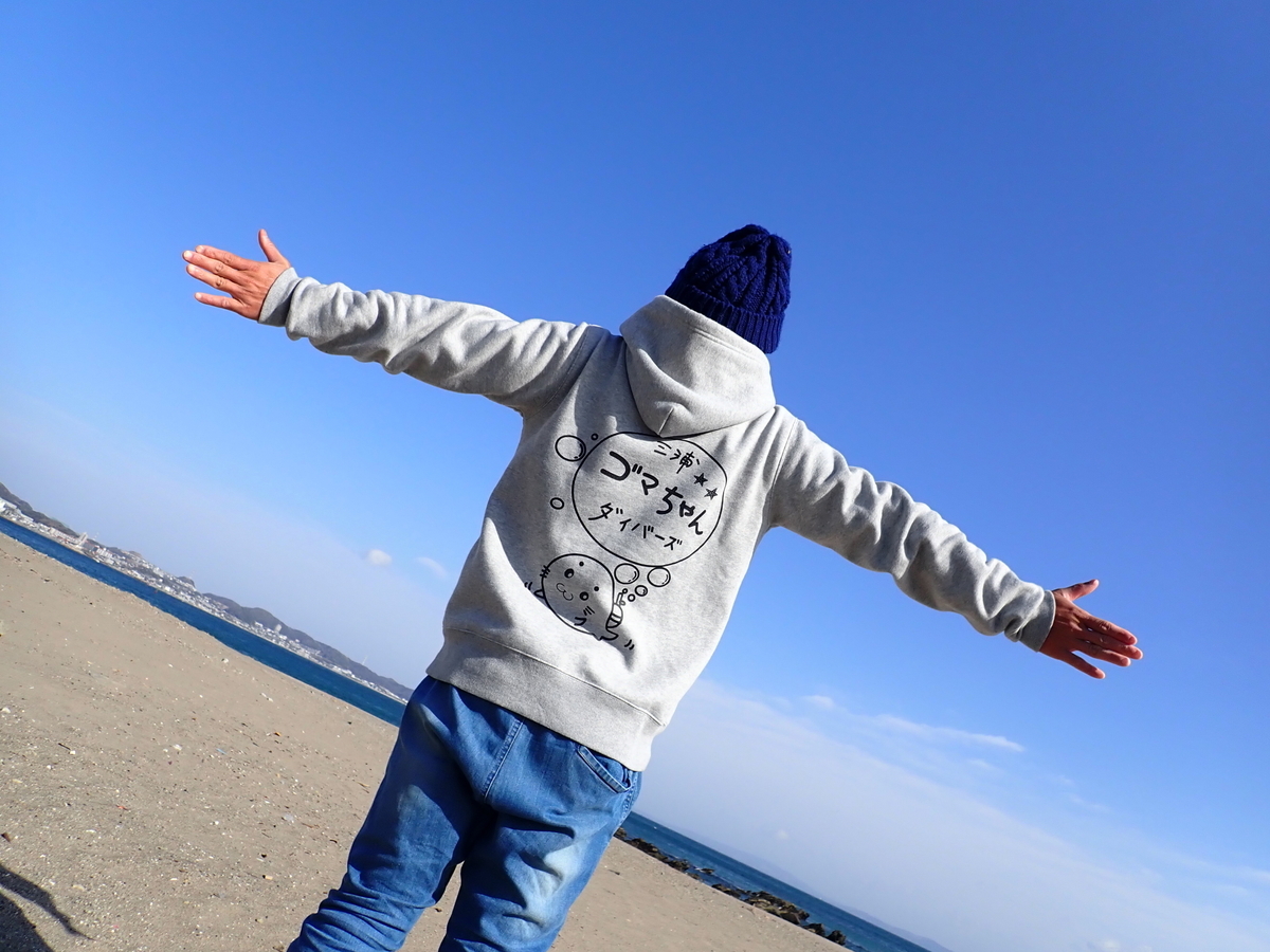 f:id:gochan-berry-smile0405:20210116202255j:plain