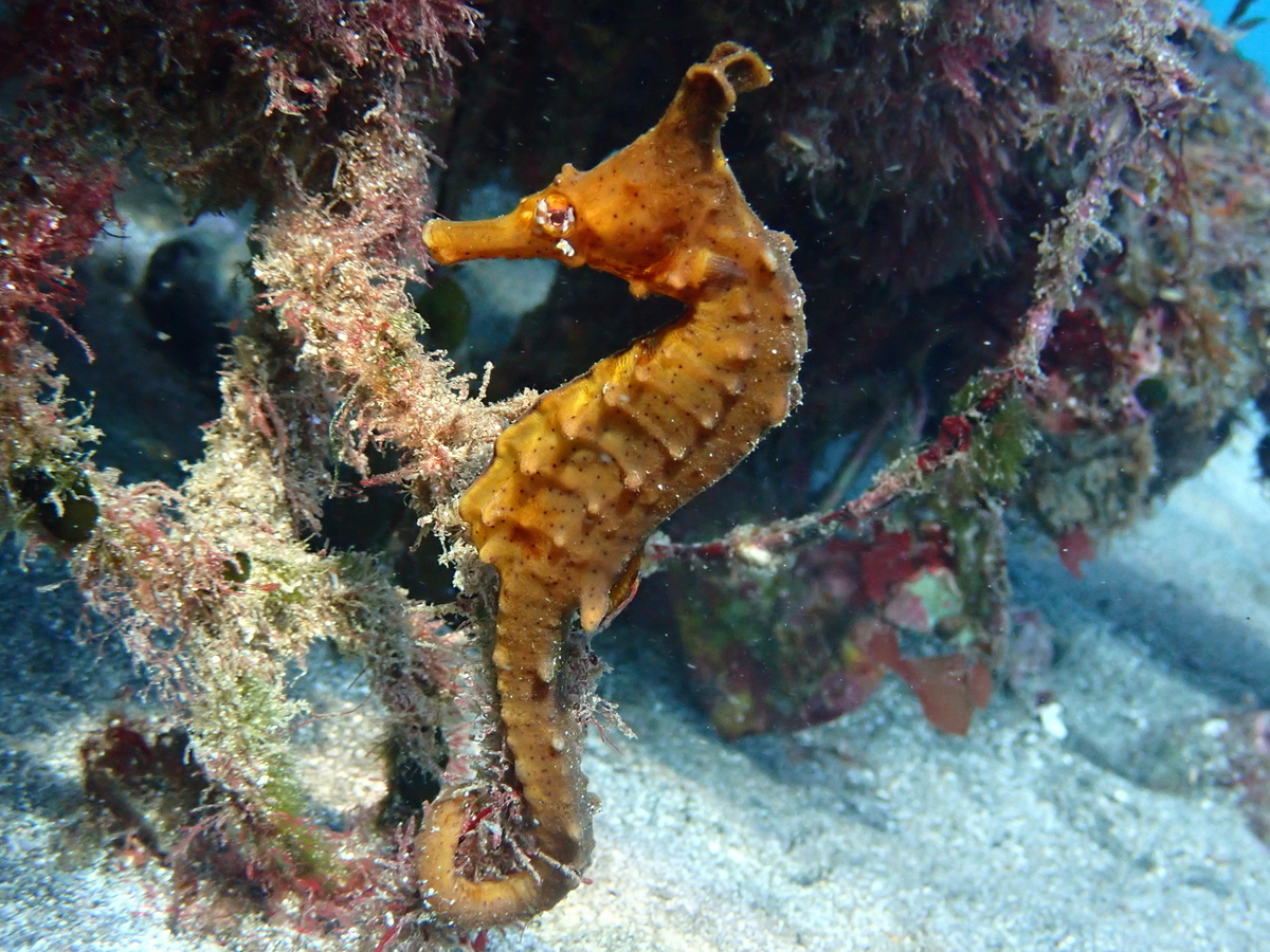 f:id:gochan-berry-smile0405:20210130181736j:plain