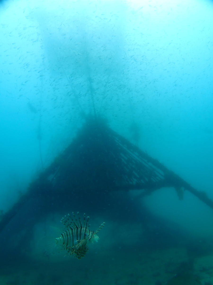 f:id:gochan-berry-smile0405:20210610093811j:plain