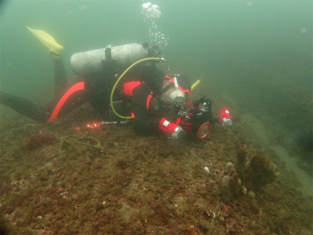 f:id:gochan-berry-smile0405:20210814214551j:image f:id:gochan-berry-smile0405:20210814214551j:image