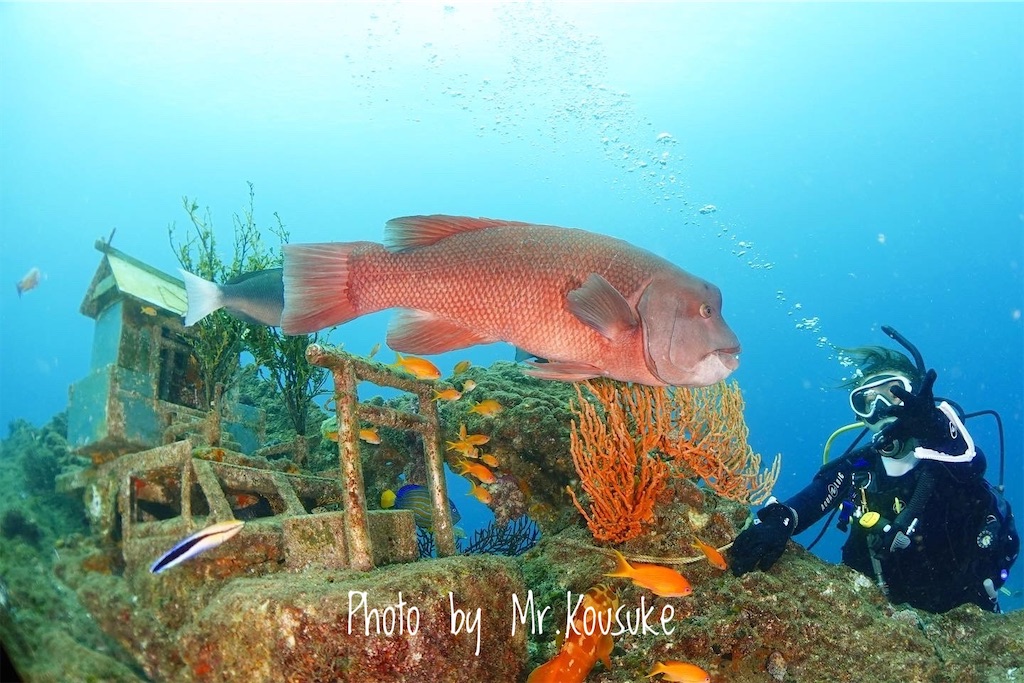 f:id:gochan-berry-smile0405:20210824221902j:image f:id:gochan-berry-smile0405:20210824221902j:image