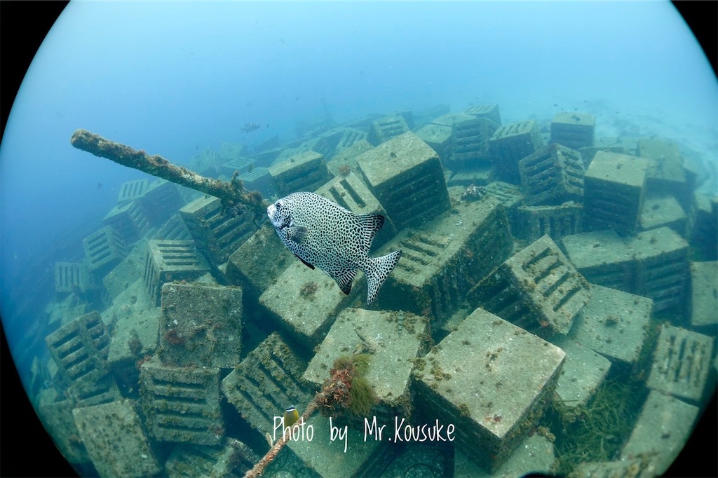 f:id:gochan-berry-smile0405:20210824221917j:image f:id:gochan-berry-smile0405:20210824221917j:image