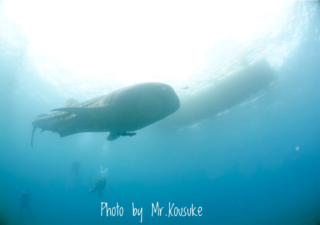 f:id:gochan-berry-smile0405:20210824221940j:image f:id:gochan-berry-smile0405:20210824221940j:image