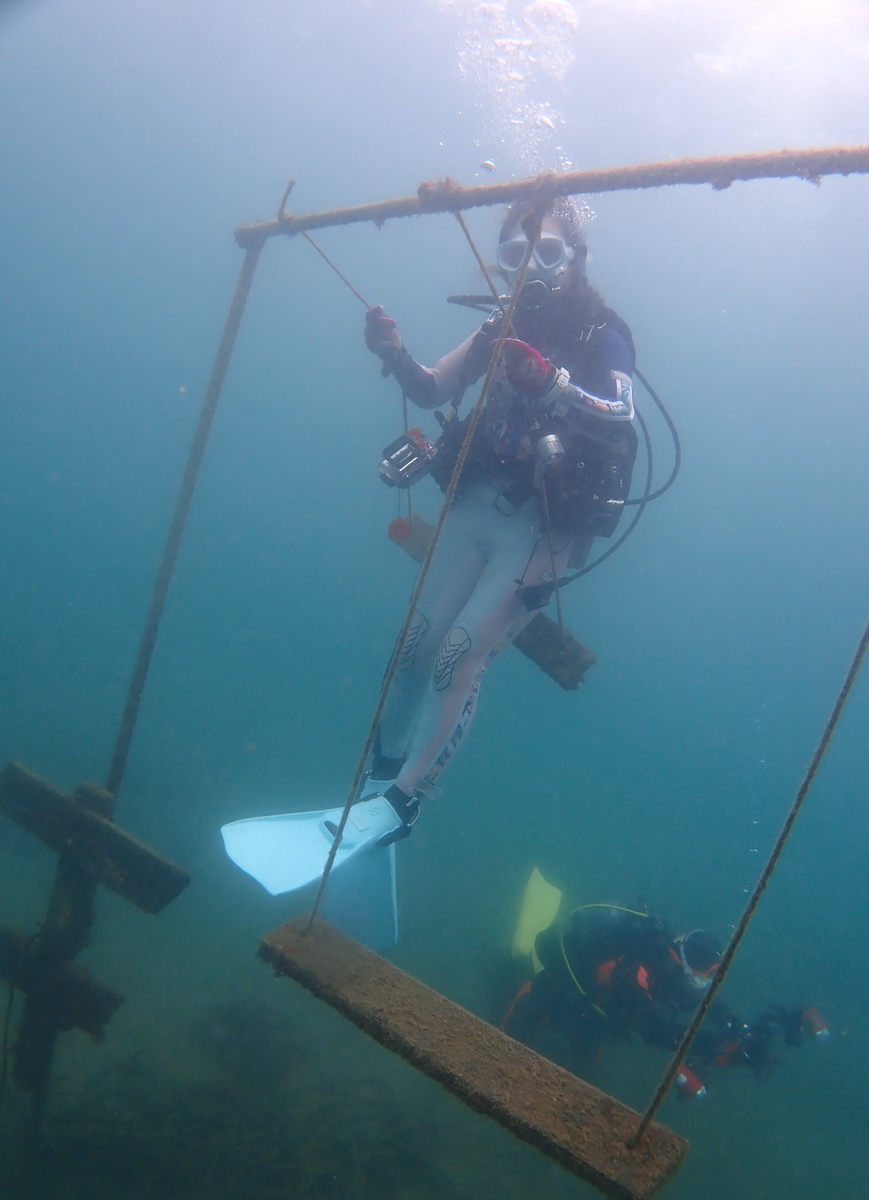 f:id:gochan-berry-smile0405:20210904223500j:plain