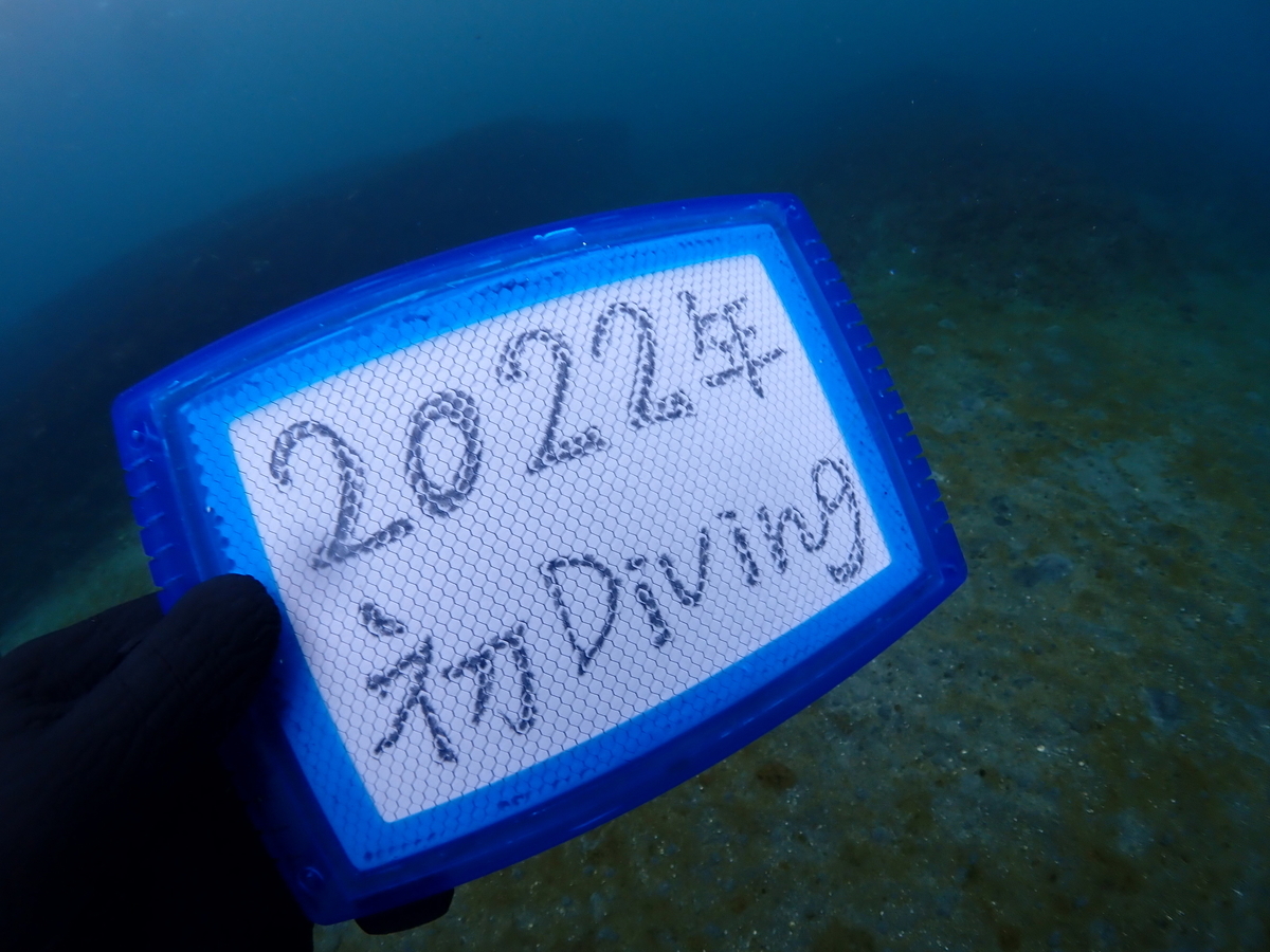 f:id:gochan-berry-smile0405:20220106211753j:plain