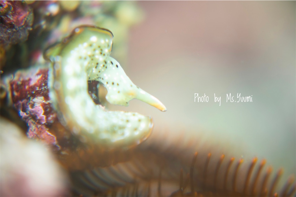 f:id:gochan-berry-smile0405:20220220214602j:image f:id:gochan-berry-smile0405:20220220214602j:image