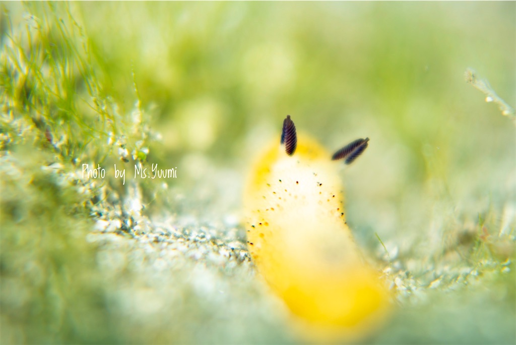 f:id:gochan-berry-smile0405:20220220214651j:image f:id:gochan-berry-smile0405:20220220214651j:image