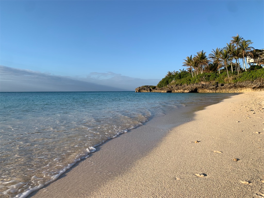 f:id:gochan-berry-smile0405:20230204122452j:image f:id:gochan-berry-smile0405:20230204122452j:image