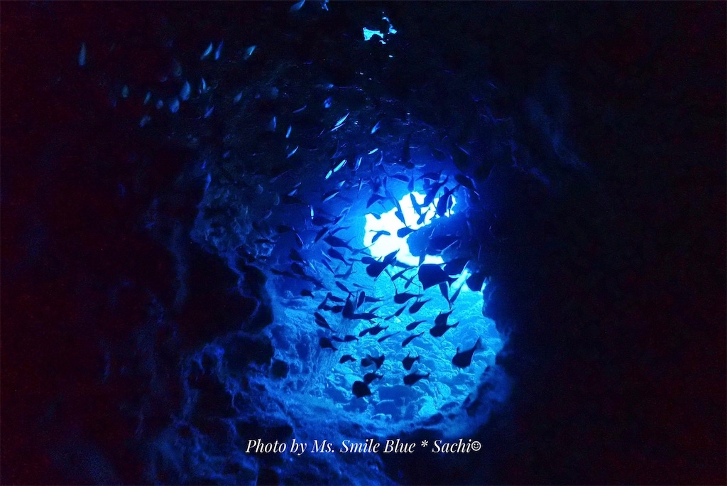 f:id:gochan-berry-smile0405:20230204122846j:image f:id:gochan-berry-smile0405:20230204122846j:image