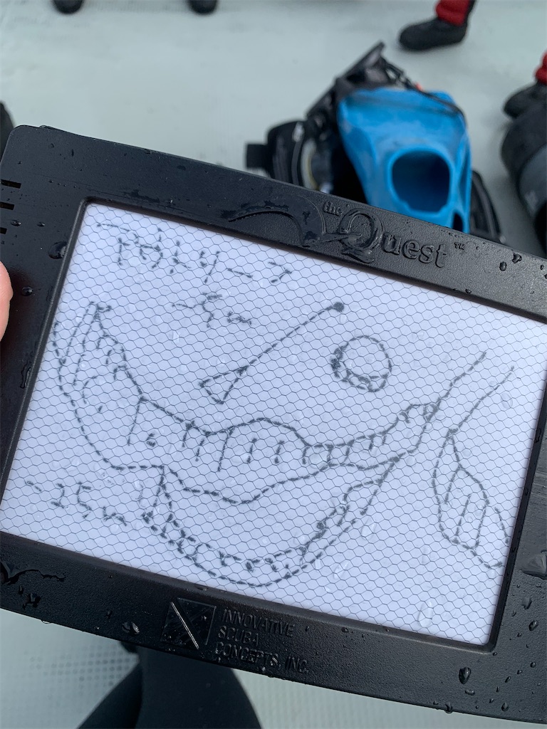 f:id:gochan-berry-smile0405:20230204144801j:image f:id:gochan-berry-smile0405:20230204144801j:image