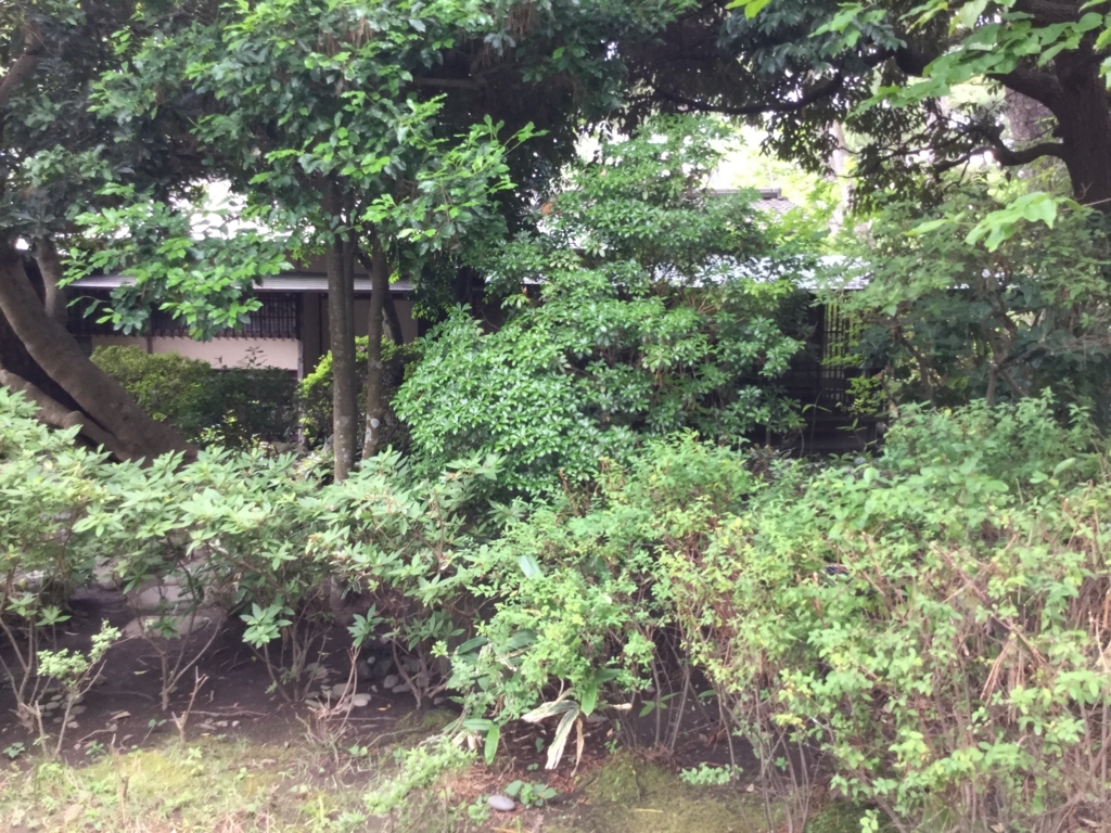 f:id:gockie:20170701234512j:plain f:id:gockie:20170701234512j:plain