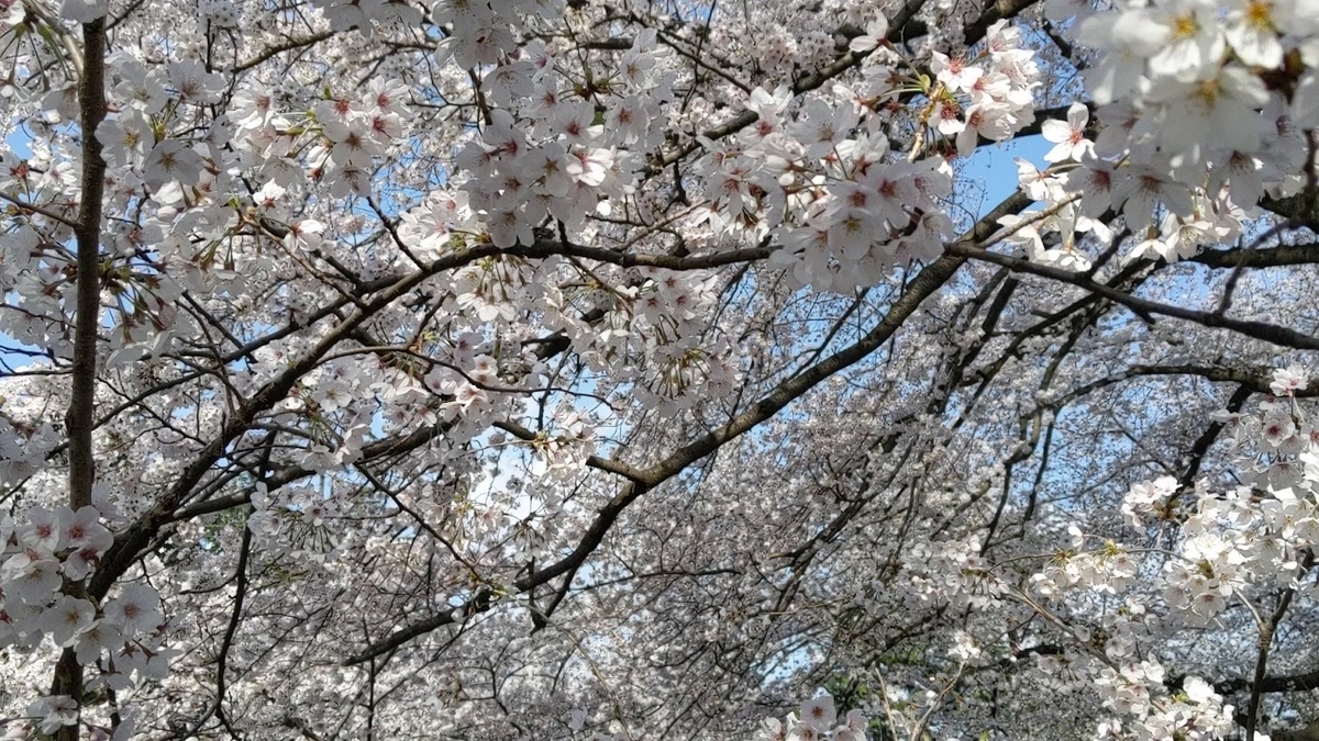 f:id:godkther23:20190501184021j:plain f:id:godkther23:20190501184021j:plain