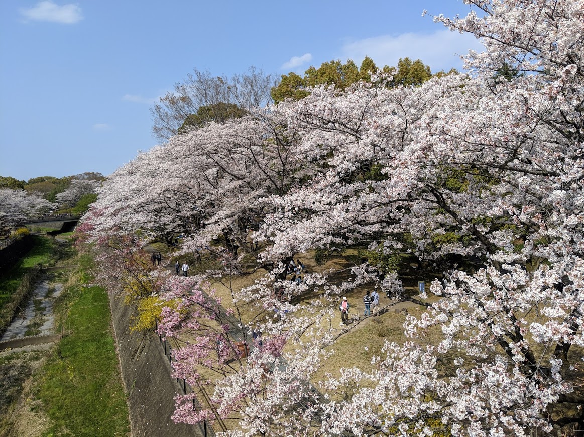 f:id:godkther23:20190501184053j:plain f:id:godkther23:20190501184053j:plain