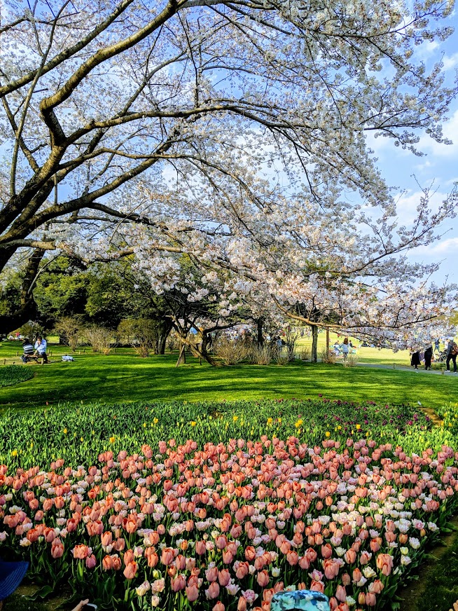 f:id:godkther23:20190501184108j:plain f:id:godkther23:20190501184108j:plain