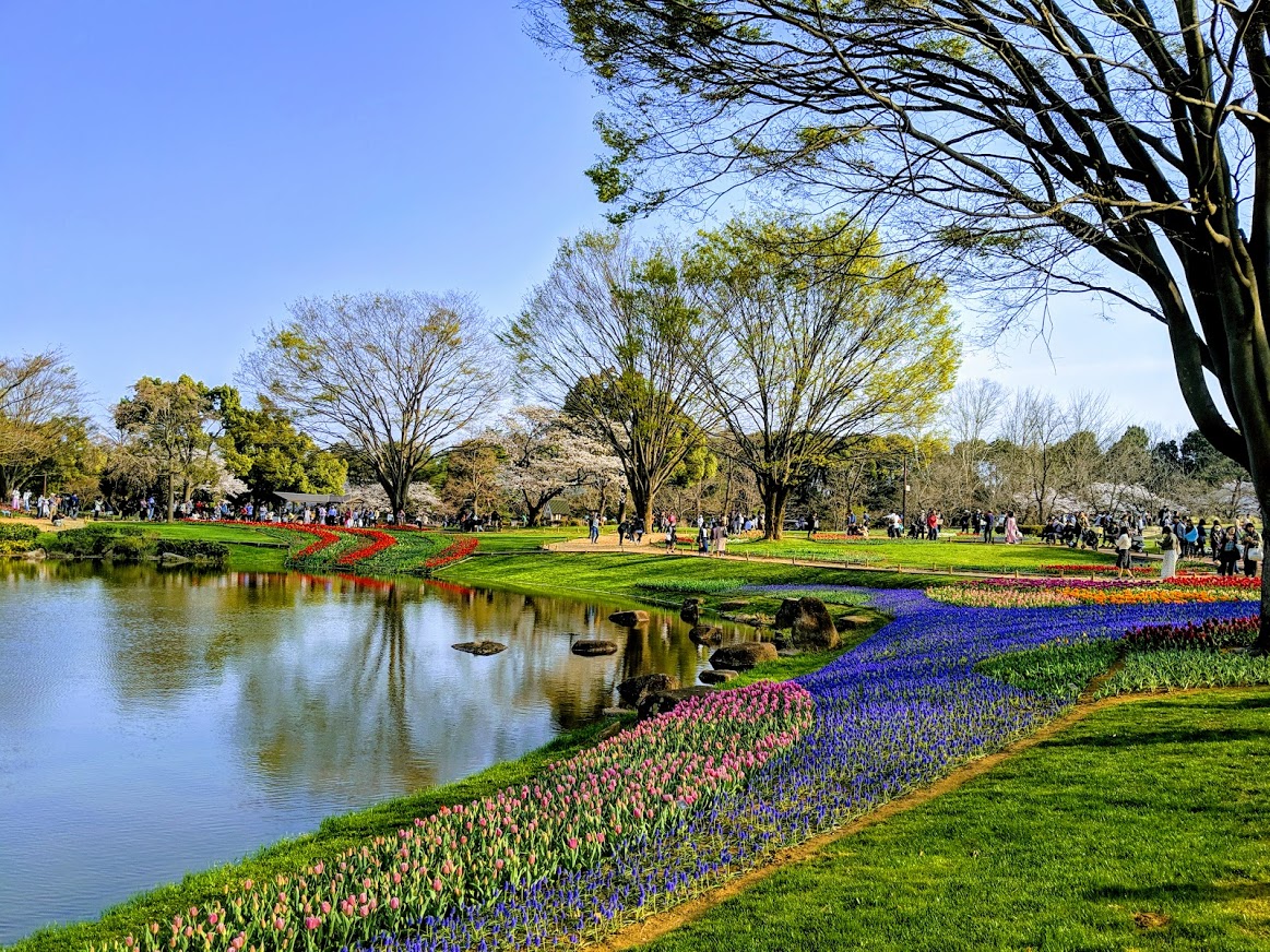f:id:godkther23:20190501184120j:plain f:id:godkther23:20190501184120j:plain