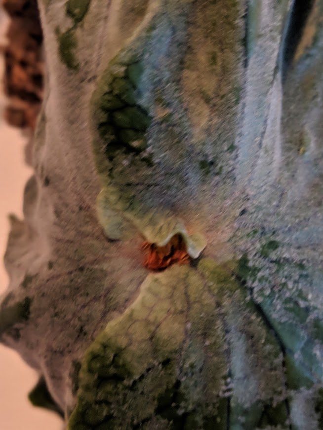 f:id:godkther23:20190501184751j:plain f:id:godkther23:20190501184751j:plain