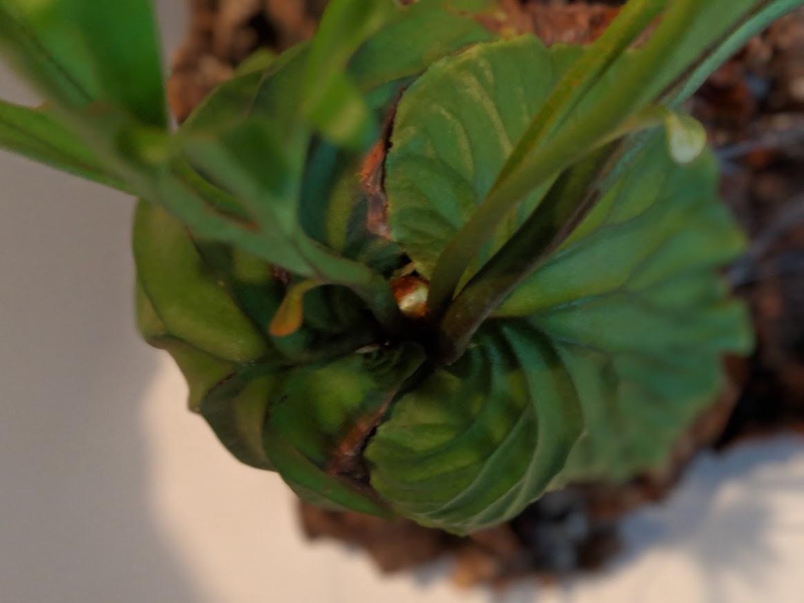 f:id:godkther23:20190501184836j:plain f:id:godkther23:20190501184836j:plain