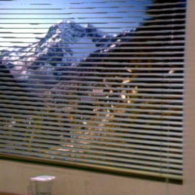 P U D E R P O L L I: 効率的な休息のための家 (2020) - Bandcamp P U D E R P O L L I: 効率的な休息のための家 (2020) - Bandcamp