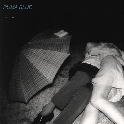 Puma Blue: Swum Baby EP (2017) - Bandcamp