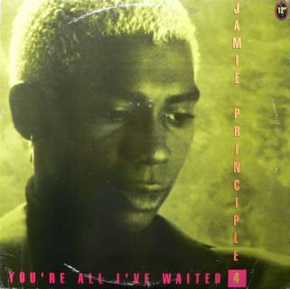 Jamie Principle: The Midnite Hour (1992) - その深夜、オレはオレの