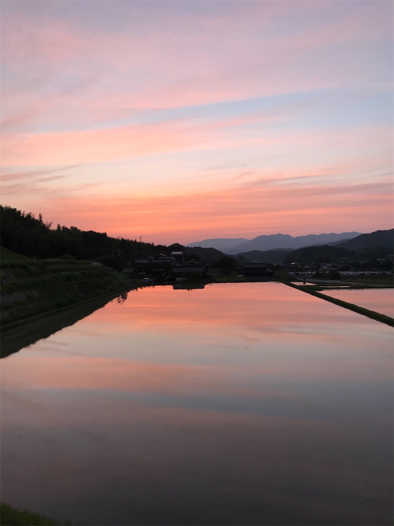 f:id:godtail10:20200610150220j:image f:id:godtail10:20200610150220j:image