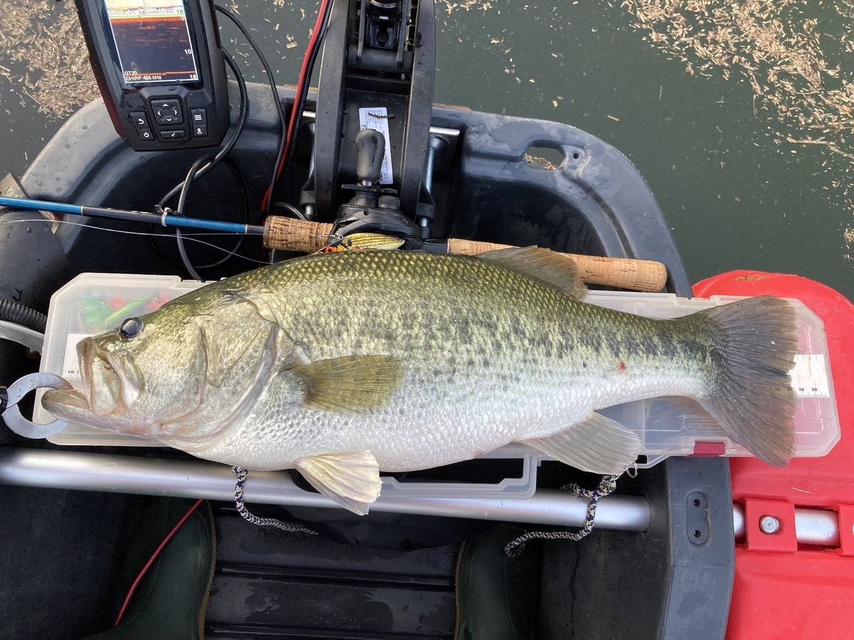 まとめ】フロートボートの強味・エレキ・バッテリー・ラダー・魚群探知